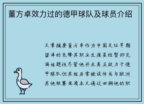 董方卓效力过的德甲球队及球员介绍