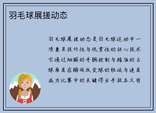 羽毛球展搓动态